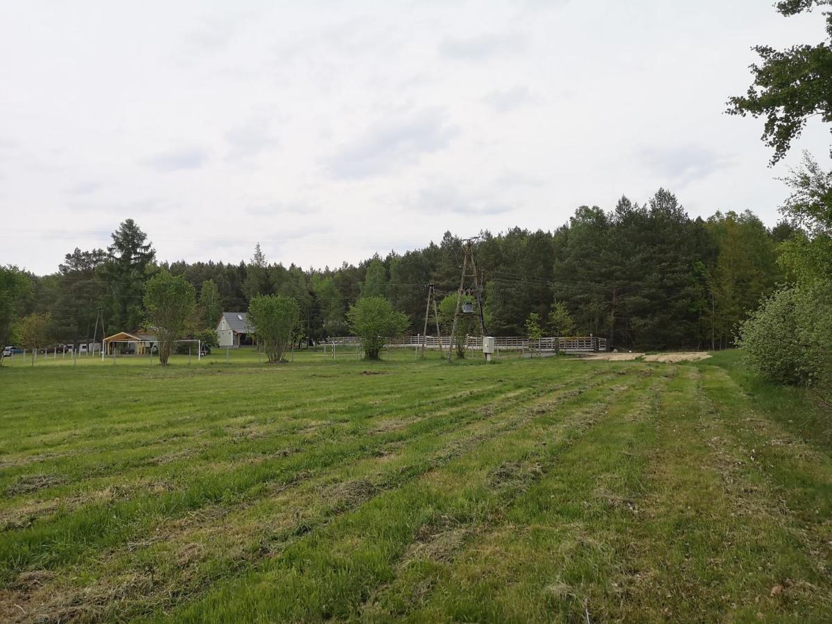 Miedzichowo Agroturystyka Plener מראה חיצוני תמונה